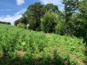 Venta de Lote en Zarcero-Guadalupe. RAH 27-136 in Guadalupe, Zarcero, Alajuela — 55 000 000 ₡ - Photo 5 of 10