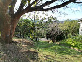 Lote en Venta en Cerro Colón, Comunidad Exclusiva en Colón, Mora, San José — $140,000 - Foto 5 de 22