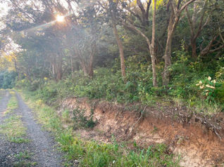 Finca, San Jorge, Bagaces Guanacaste en Mogote, Bagaces, Guanacaste — $1,500,000 - Foto 2 de 3
