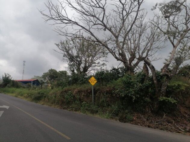 SE VENDE BELLA FINCA EN SAN JUANILLO DE NARANJO, ALAJUELA  en San Miguel, Naranjo, Alajuela — ₡ 240 000 000