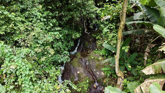 SE VENDE FINCA CON CASCADA PRIVADA Y ENTORNO NATURAL UNICO en Rivas, Pérez Zeledón, San José — $250,000 - Foto 3 de 19
