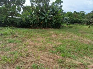 VENTA DE LOTE USO DE SUELO MIXTO, HEREDIA, SARAPIQUI, HORQUETAS in Puerto Viejo, Sarapiquí, Heredia — 45 000 000 ₡ - Photo 5 of 8