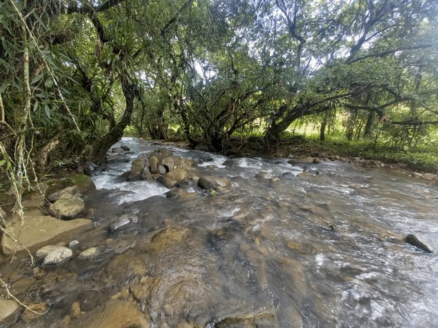 Finca con Casa Cabaña en Paraíso de Cajón, Pérez Zeledón en Cajón, Pérez Zeledón, San José — $350,000 - Foto 2 de 20