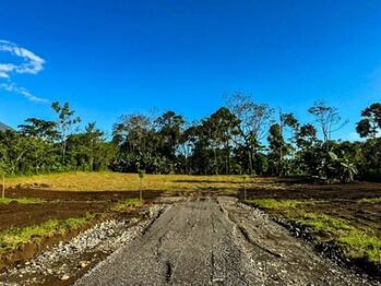 Quintas de 5,000m2 con Vista al Volcán y Corredor Biológico  en La Fortuna, San Carlos, Alajuela — 142 000 000 ₡ - Foto 2 de 7