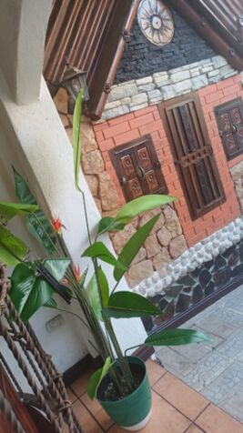 Se alquila lindo apartamento Amoblado.  in San Rafael, Escazú, San José — $800