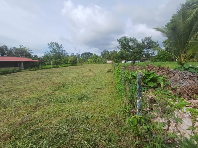 VENTA DE LOTE USO DE SUELO MIXTO, HEREDIA, SARAPIQUI, HORQUETAS en Puerto Viejo, Sarapiquí, Heredia — ₡ 23 000 000 - Foto 2 de 4