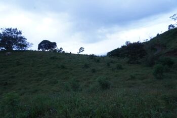 3000mts en San Juan de Florencia  in Florencia, San Carlos, Alajuela — 95 000 000 ₡ - Photo 4 of 7
