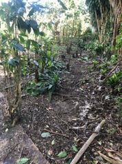 SE VENDE BELLA FINCA PARA URBANIZAR EN SANTO DOMINGO DE HEREDIA.  in Santa Rosa, Santo Domingo, Heredia — $1,400,000 - Photo 5 of 10