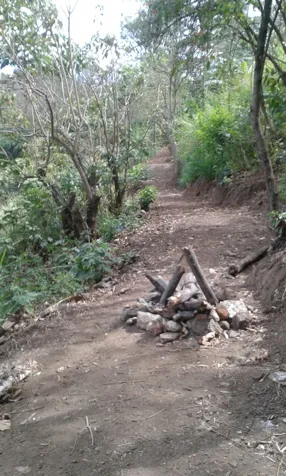 2.2 Ha of forest near the Saprissa bridge in San Juan, Tibás, San José — $1,000,000 - Photo 2 of 9