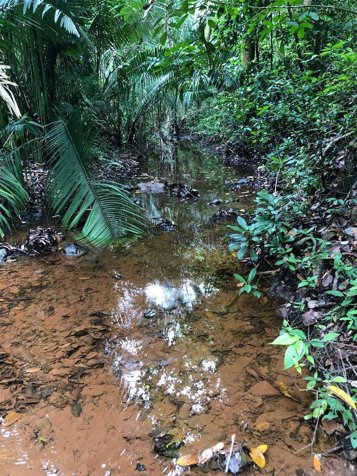 Finca una hectarea en San Juanillo con quebrada a 10 mim de la playa en Santa Cruz, Guanacaste — $85,000
