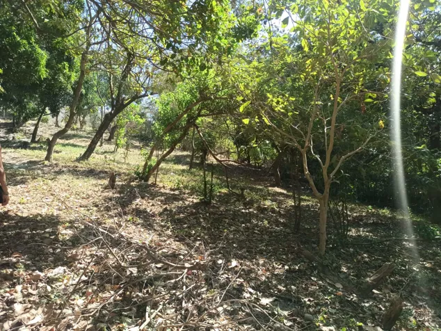 Venta de Lotes en Liberia / Guanacaste in Liberia, Guanacaste — ₡ 9 281 000 - Photo 2 of 7