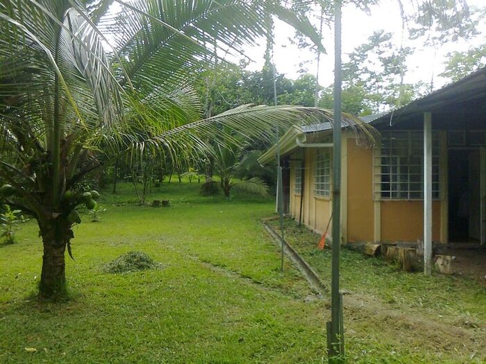VENTA DE QUINTA, LIMON, SIQUIRRES, LA ALEGRIA in La Alegría, Siquirres, Limón — ₡ 40 000 000