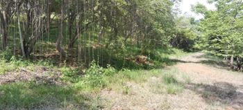 Terreno para desarrollo Corozalito Guanacaste AJ en Bejuco, Nandayure, Guanacaste — $306,880 - Foto 3 de 23