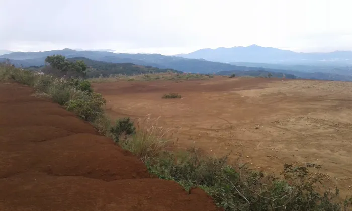 VENTA DE LOTE ALTA DENSIDAD, ALAJUELA, SAN RAMÓN, POTRERILLOS in San Ramón, Alajuela — ₡ 220 583 400
