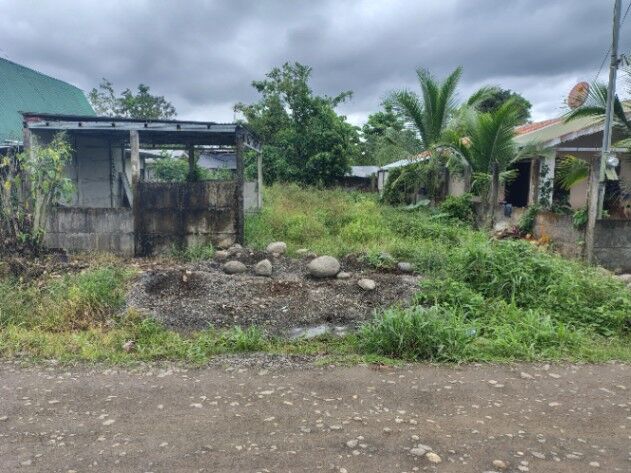 Lote de 249m² en Sonafluca La Fortuna en La Fortuna, San Carlos, Alajuela — ₡ 12 000 000