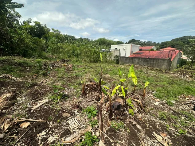 Sale - Lot of 400m2 in San Luis, Santo Domingo, Heredia in San Miguel, Santo Domingo, Heredia — ₡ 46 000 000 - Photo 2 of 5