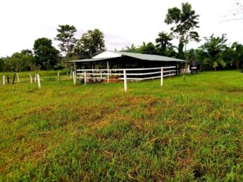 Venta de lote en San Carlos. RAH 25-1273 en Katira, Guatuso, Alajuela — 110 000 000 ₡ - Foto 4 de 14