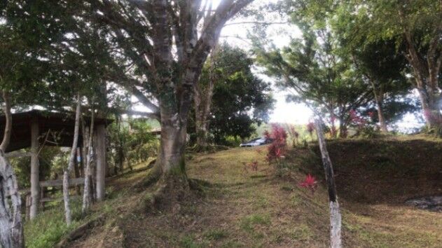 Venta de Finca en Turrialba-Cartago. RAH 26-1245 NEGOCIABLE en La Suiza, Turrialba, Cartago — ₡ 950 000 000