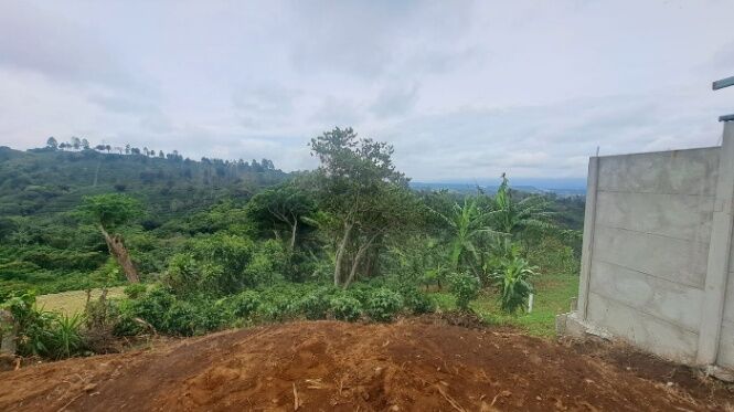 Se vende propiedad en Santa Rosa de Poás, Calle Helio Rodriguez (zona hacia Calle Lilis), Alajuela in San Rafael, Poás, Alajuela — ₡ 26 500 000