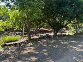 Quinta Segura en Zona Tamarindo (Altos de Pinilla) in Tamarindo, Santa Cruz, Guanacaste — $95,000 - Photo 2 of 6