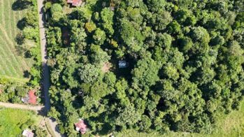 LOTE EN PEÑAS BLANCAS, PÉREZ ZELEDÓNNATURALEZA Y PRIVACIDAD en San Isidro De El General, Pérez Zeledón, San José — $115,000 - Foto 4 de 9