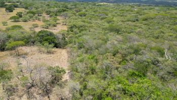 Terreno en venta en Liberia, Guanacaste en Nacascolo, Liberia, Guanacaste — 162 500 000 ₡ - Foto 4 de 14