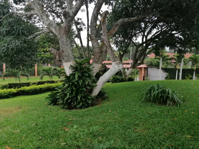 La GARITA - Venta / Renta de Quinta con Casas Y Complejo de Oficinas in Garita, Alajuela — $7,500 - Photo 2 of 59