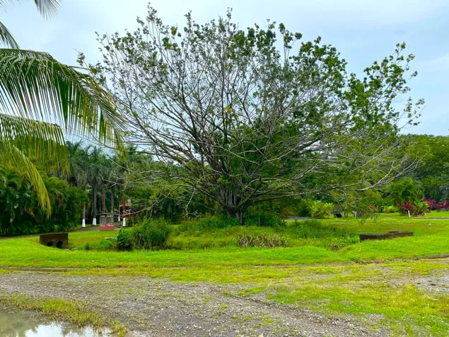 Venta Terreno Rodeado de Naturaleza en Esterillos, min de Playa (MV) en Parrita, Puntarenas — $120,000 - Foto 3 de 6
