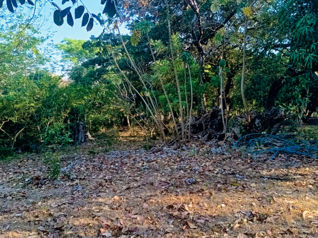Lote en Curubandé, Guanacaste ** 2154 en Curubandé, Liberia, Guanacaste — 60 000 000 ₡ - Foto 2 de 13