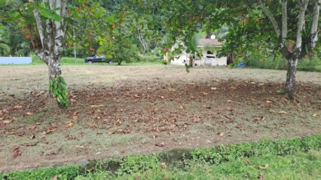 Venta de 2 Lotes en Osa en Puerto Cortés, Osa, Puntarenas — ₡ 9 000 000