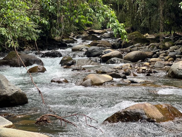 VENTA DE QUINTA DE 5.000 M2 CON ACCESO AL RIO PEÑAS BLANCAS Y RANCHO EN SANTA ELENA, PEREZ ZELEDON en El General, Pérez Zeledón, San José — $181,000 - Foto 2 de 13