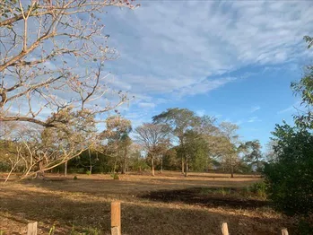 Se venden Lotes en Labrador de San Mateo