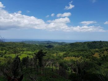 Farm For Sale Sámara, Nicoya, Guanacaste