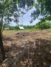 Lote en Venta San Miguel, Cañas, Guanacaste