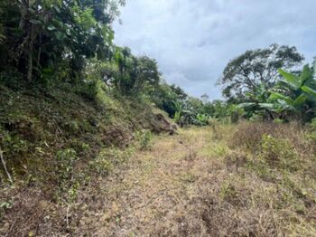 Venta de Quinta en Alvarado, Cartago.  en Cervantes, Alvarado, Cartago — 80 000 000 ₡ - Foto 4 de 14