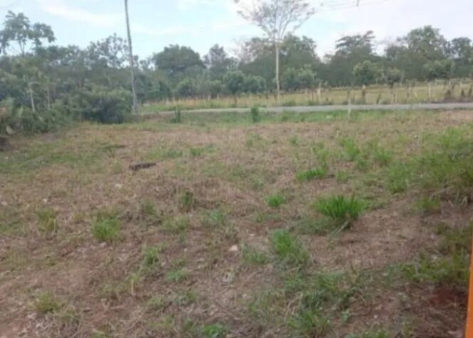 DE OPORTUNIDAD BELLO LOTE EN UPALA.  en Upala, Alajuela — ₡ 2 500 000