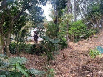 LOTE EN VENTA, SAN RAFAEL DE ESCAZÙ $400.000 COD#26-1016 en San Rafael, Escazú, San José — $400,000 - Foto 4 de 4
