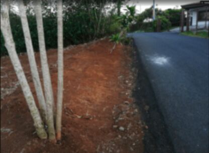 VENTA TERRENO PARA CONSTRUCCION  en Palmitos, Naranjo, Alajuela — ₡ 13 000 000