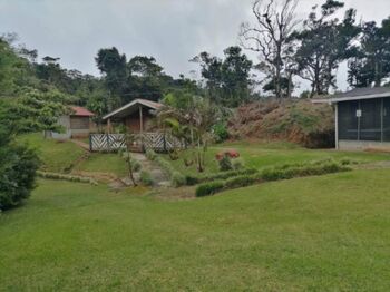 ¡Oportunidad Única! Finca de Ensueño en Zona de Alta Plusvalía por Solo ₡50 Millones.  en Zapotal, San Ramón, Alajuela — 50 000 000 ₡ - Foto 5 de 10