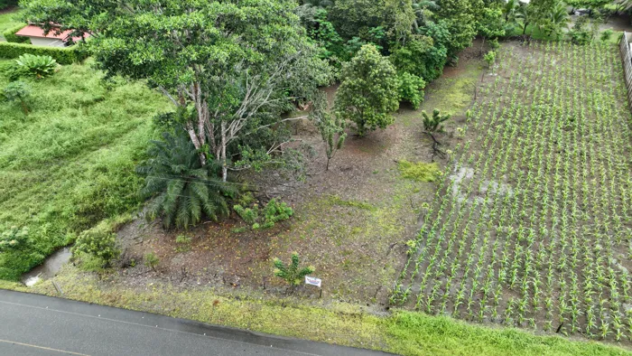 Se Vende Lote en Puerto Jiménez en Puerto Jiménez, Golfito, Puntarenas — ₡ 40 000 000 - Foto 2 de 10