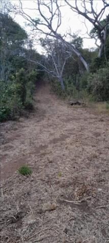 SE VENDE BELLA FINCA EN SANTA CRUZ.  in Cartagena, Santa Cruz, Guanacaste — ₡ 6 000 000