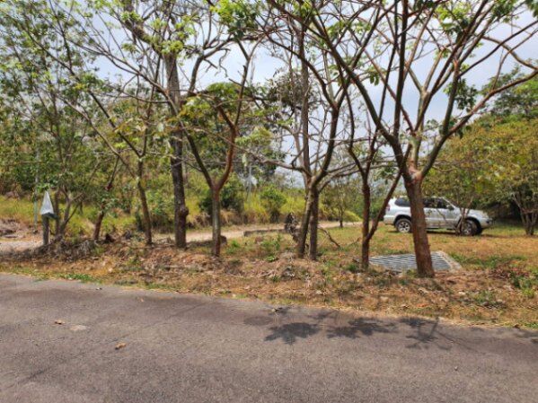 Venta de hermoso  lote en Salvador ,en la montaña  en Piedades Sur, San Ramón, Alajuela — ₡ 900