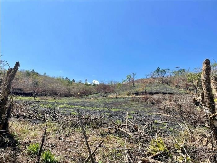 VENTA DE LOTE, ALAJUELA, SAN RAMÓN, COSTADO NORTE DE LA UCR in Concepción, San Ramón, Alajuela — $205,000