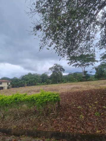 VENTA DE LOTE, PUNTARENAS, MIRAMAR, HACIENDA MONTES DE ORO in Miramar, Montes De Oro, Puntarenas — $74,382