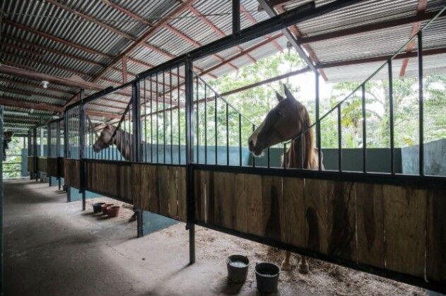 Propiedad en Cocles, Limón, Costa Rica– Potencial turístico, hotelero o residencial in Cahuita, Talamanca, Limón — $350,000