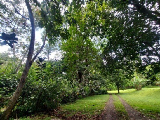 Se vende moderna propiedad de 5000m2 en San Antonio de Belén 26-673 en San Antonio, Belén, Heredia — $860,000
