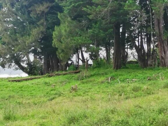 Se vende lote de 7300m2 en Puraba de Santa Barbara 23-874 en Purabá, Santa Bárbara, Heredia — $367,000