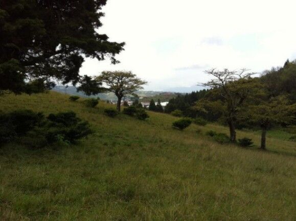 Se vende amplio lote de 28 hectáreas en San Nicolas de Cartago 25-338 in San Nicolás, Cartago — $6,000,000