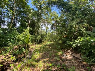 Lote frente al BAC SAN JOSE , Guapiles centro in Guápiles, Pococí, Limón — $3,876,620 - Photo 4 of 8