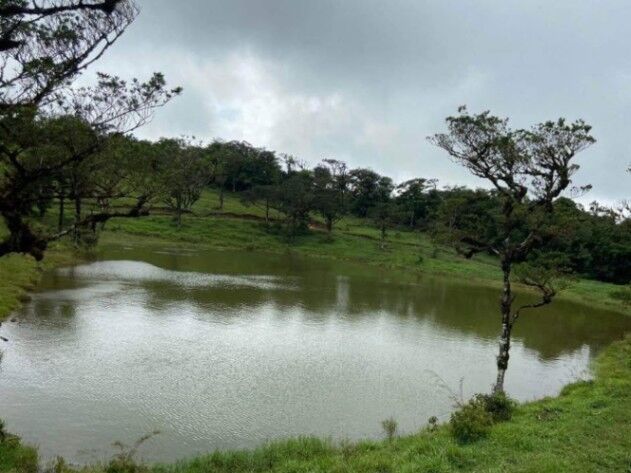 ¡Oportunidad Única! Finca de Ensueño en Zona de Alta Plusvalía por Solo ₡50 Millones.  en Zapotal, San Ramón, Alajuela — ₡ 50 000 000